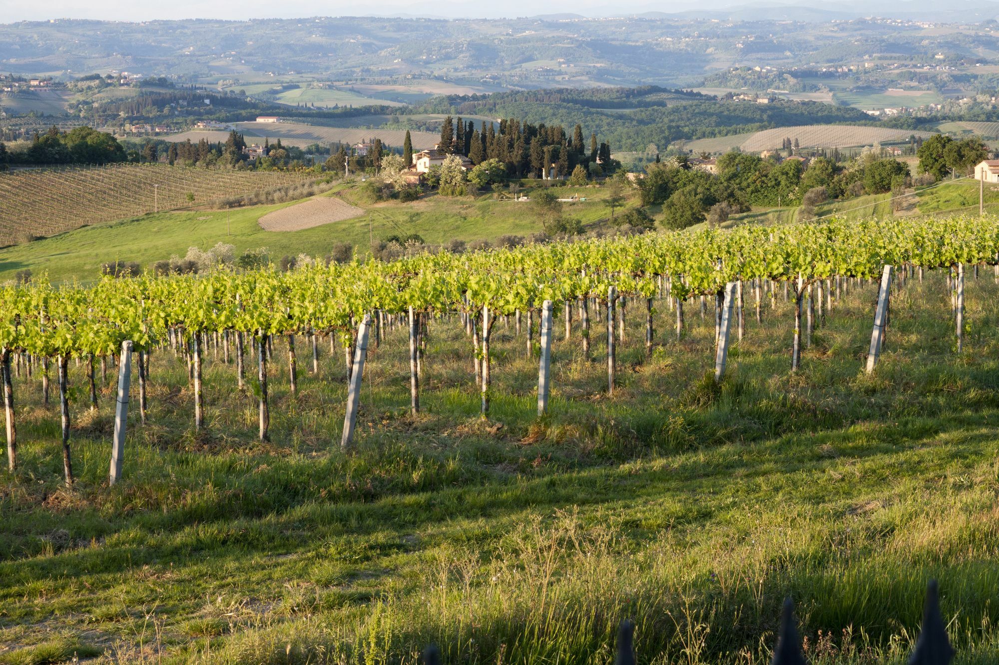 Villa Ducci San Gimignano Extérieur photo