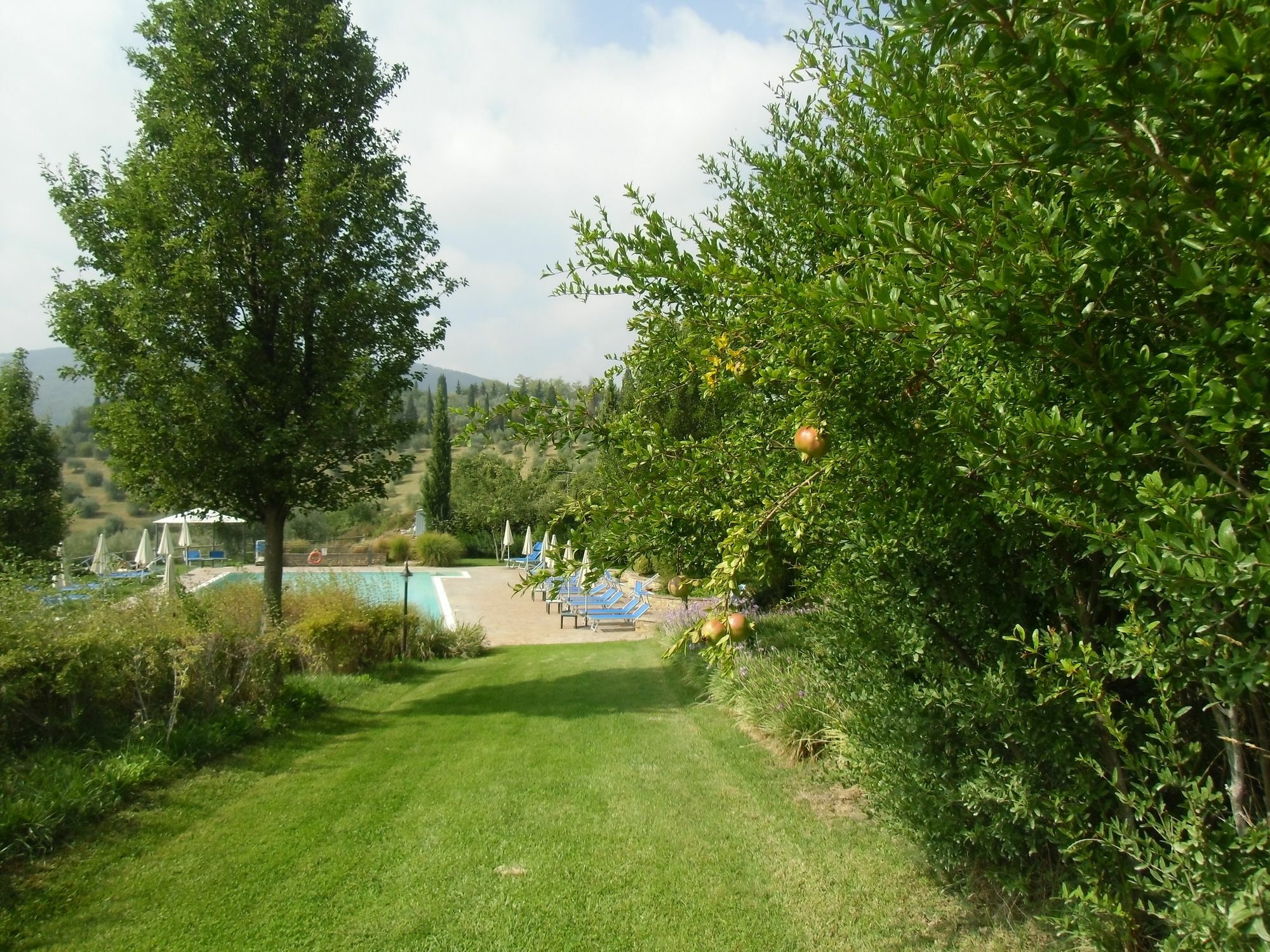 Villa Ducci San Gimignano Extérieur photo